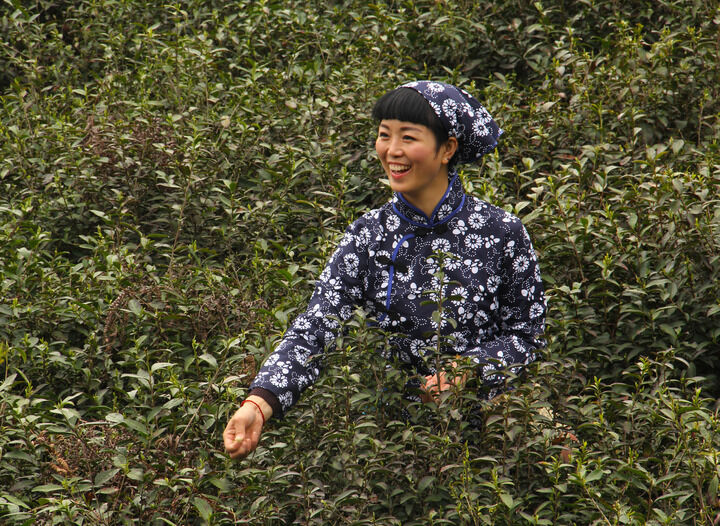 最新6